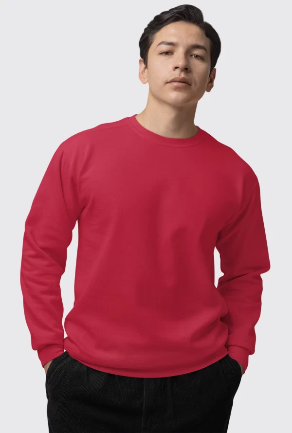 AyE Polera Básica Roja sin capucha de franela