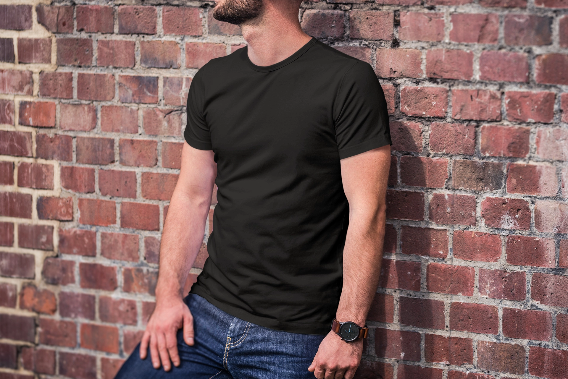 AyE Polo Pima AyE Polo Pima